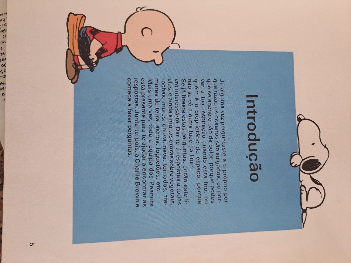 O grande livro de perguntas e respostas  de charlie Brown