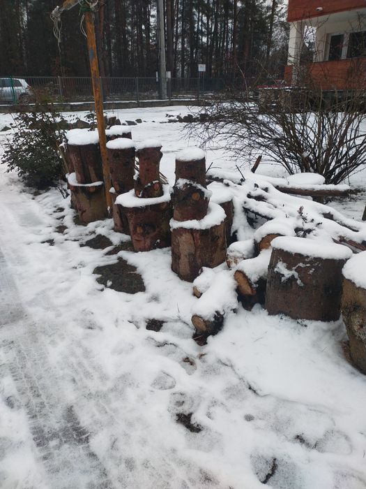 REZERWACJA Drewno opałowe mokre suche węgiel TANIO OKAZJA