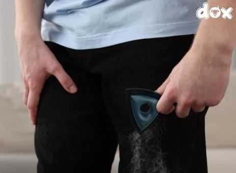 Mini szczotka do usuwania sierści zwierzat, psa, kota i innych