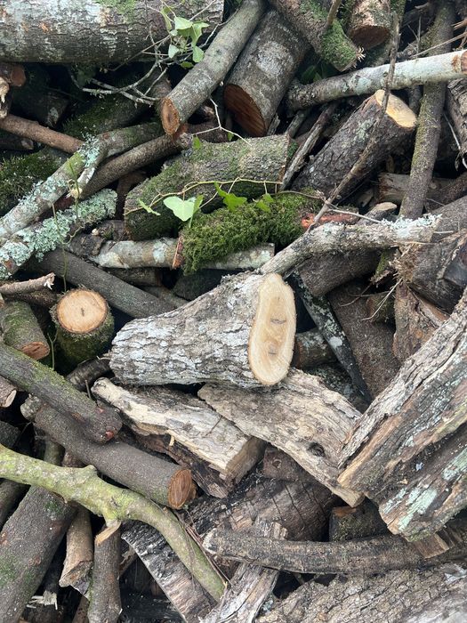 Lenha seca mistura ( oliveira, carvalho)