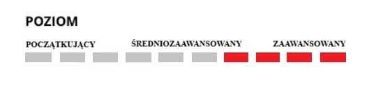 *nartybochnia.pl* HEAD WORLDCUP REBELS E-speed 175 NABO 5512