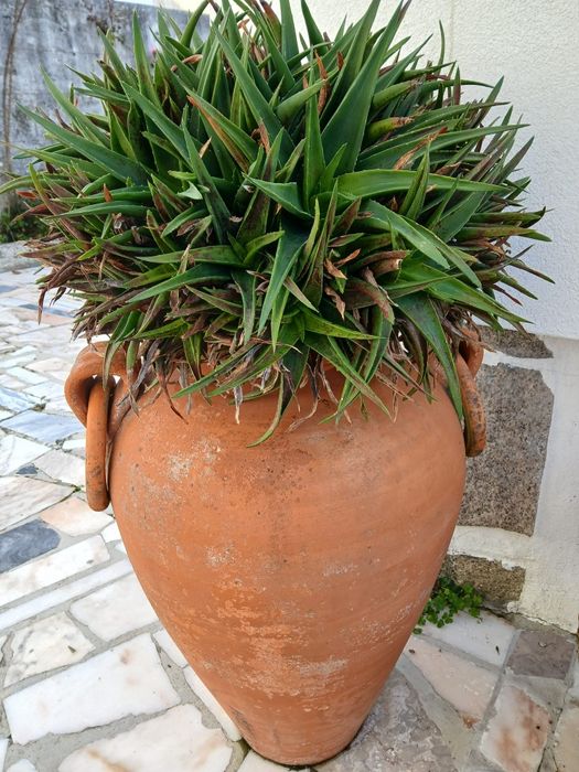 Vasos grandes de barro