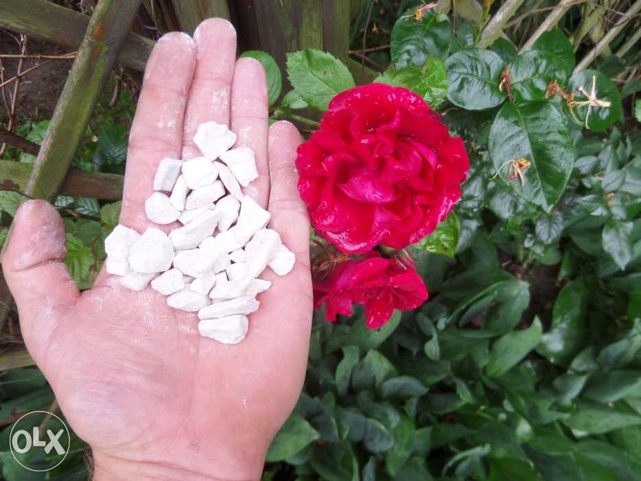 TARASO Biała MARIANNA kamień grys ozdobny do ogrodu. TRANSPORT ŚLĄSK