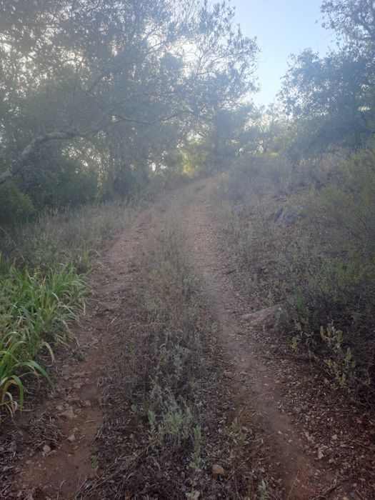 Terreno rustico com bonita vista