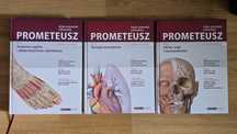 Atlas Anatomii Człowieka Prometeusz zestaw tomy 1-3 stan bardzo dobry!