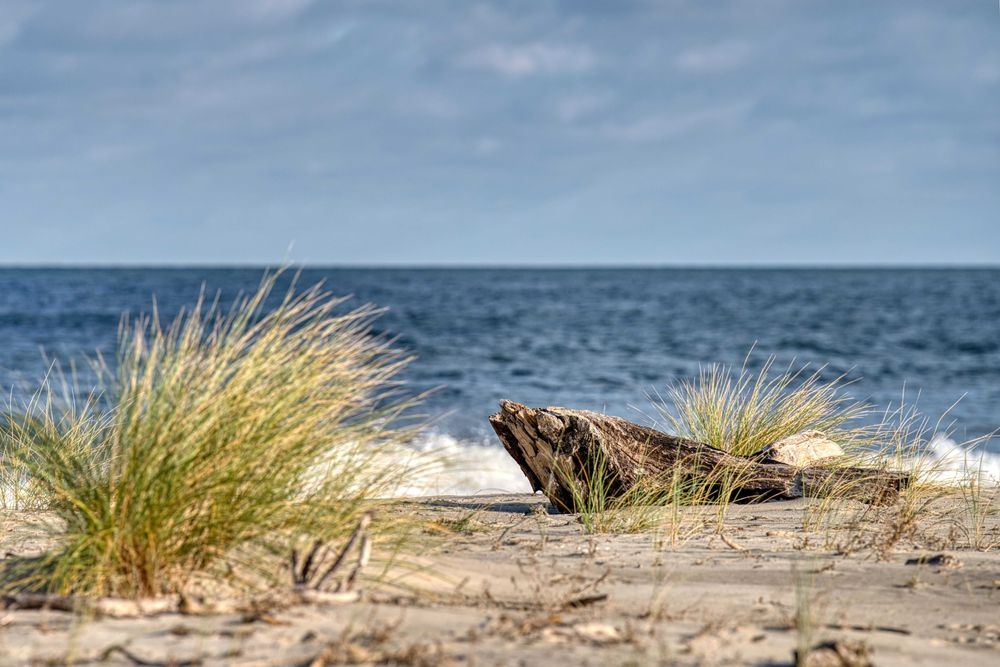 Domek z kominkiem Weekend Nad Morzem Wyspa Sobieszewska Gdańsk