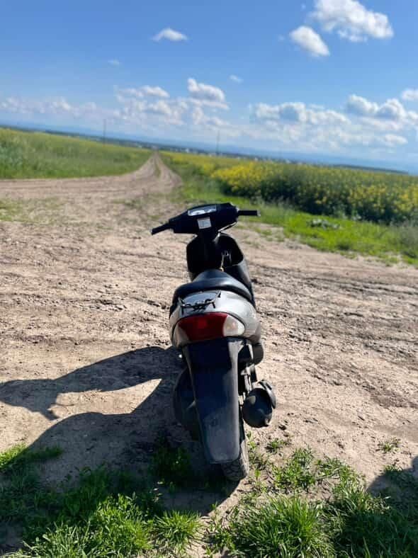 Suzuki lets 2 бабочка.