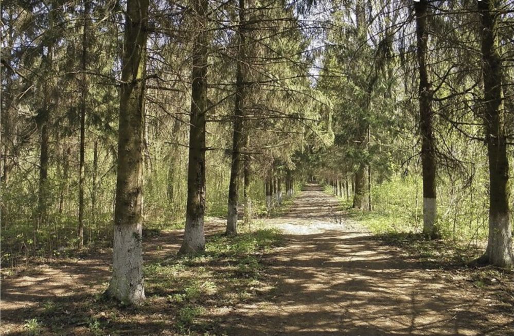 Земельна ділянка в с.Райгородок, земельный участок