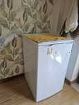 Small Fridge and freezer