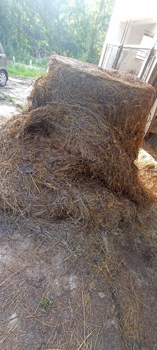 Bale bele sianokiszonki 2025r.