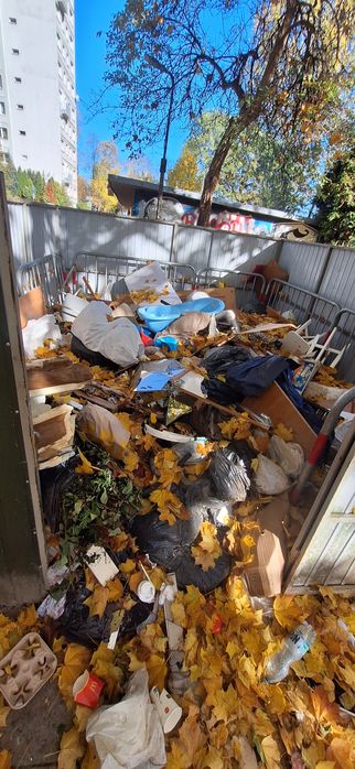 Wywóz i Utylizacja Wszystkiego