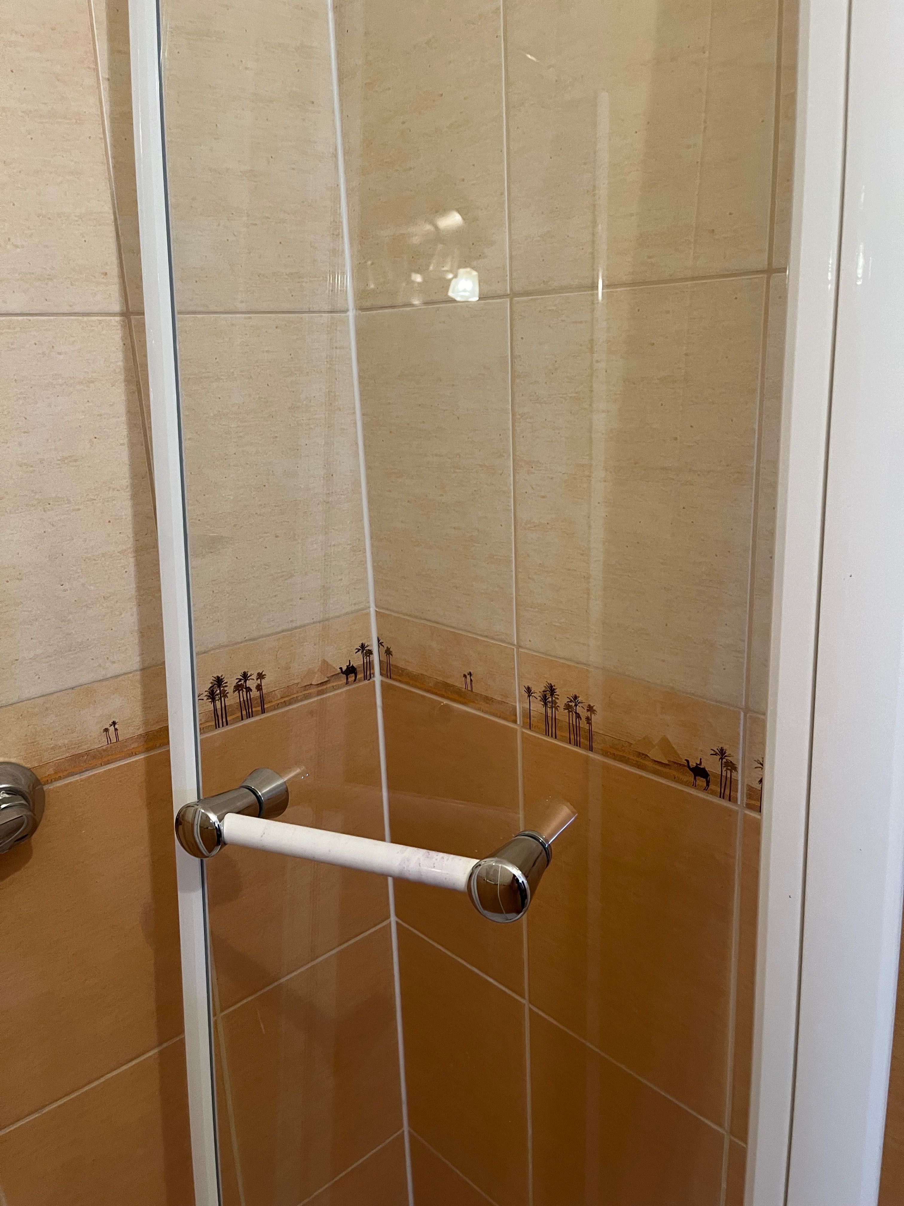 Drzwi prysznicowe uchylne SANPLAST