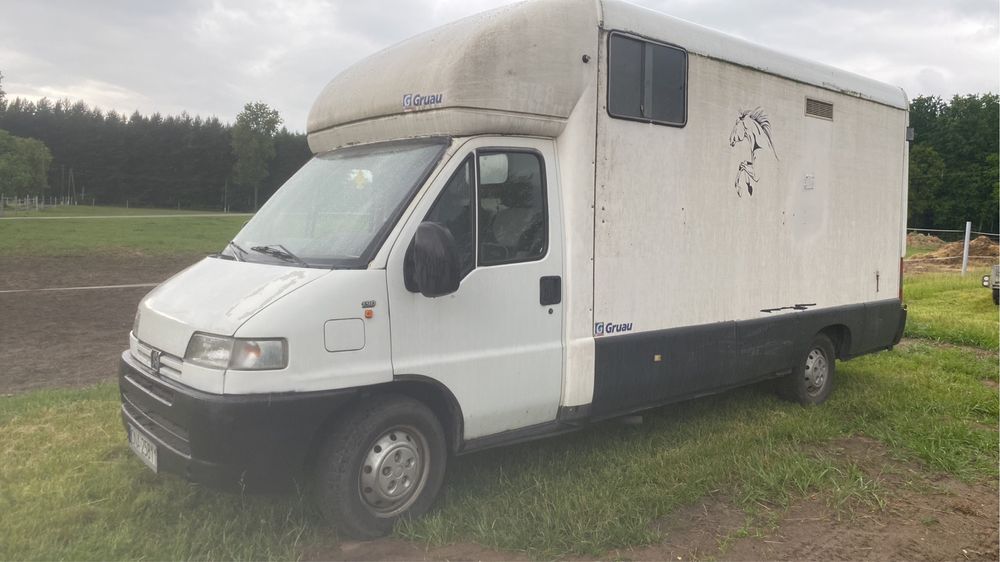 Peugeot boxer 2001 koniowóz long