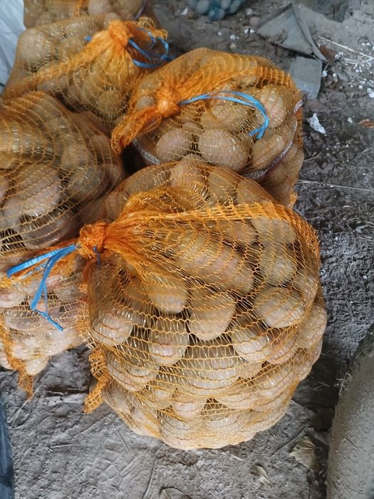 Sprzedam ziemniaki jadalne