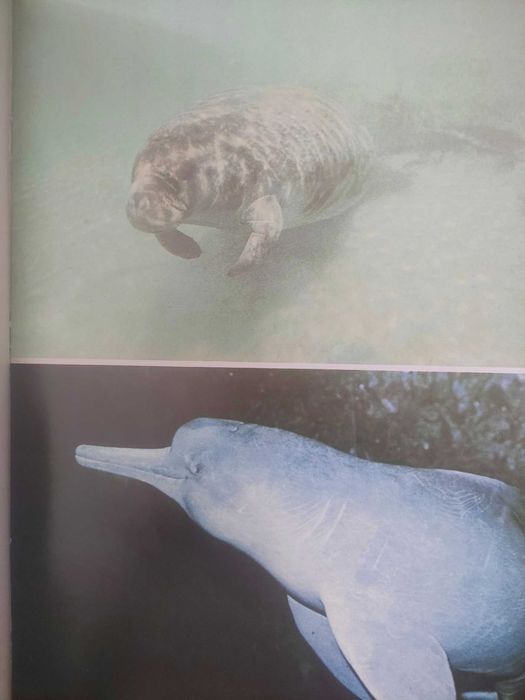 Fauna- Edições Alfa- coleção completa, encadernação de luxo