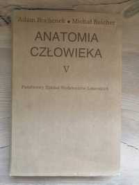 „Anatomia człowieka””, V tom, Adam Bochenek , Michał Reicher