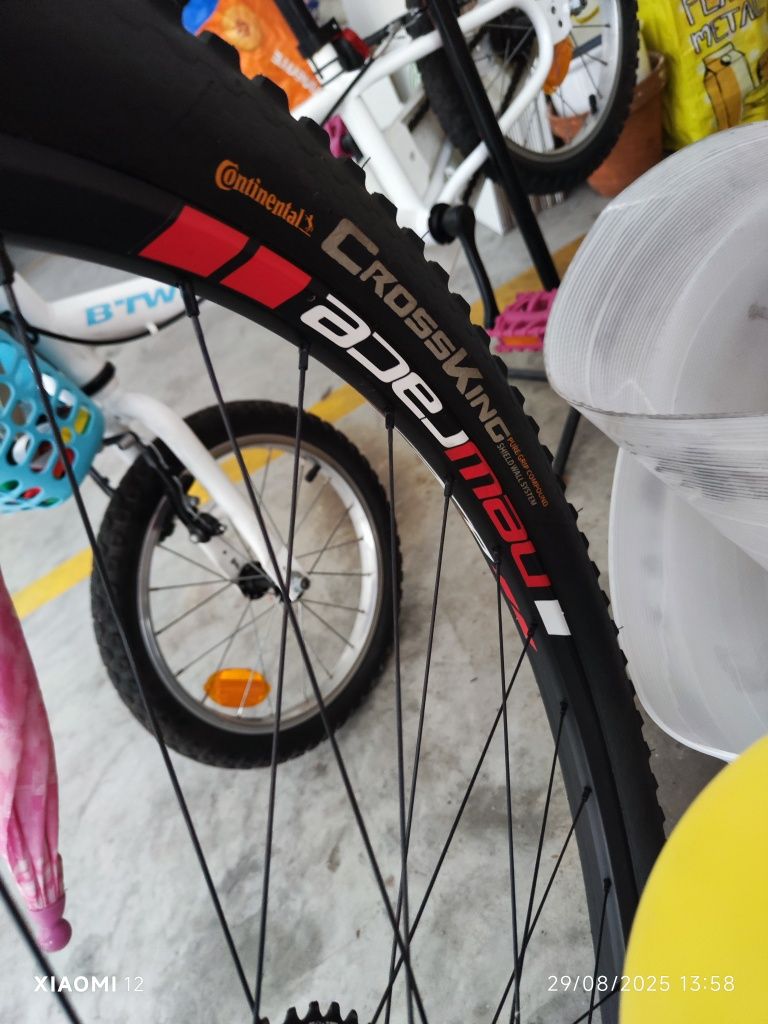 Bicicleta BTT 29 Focus Raven Carbono