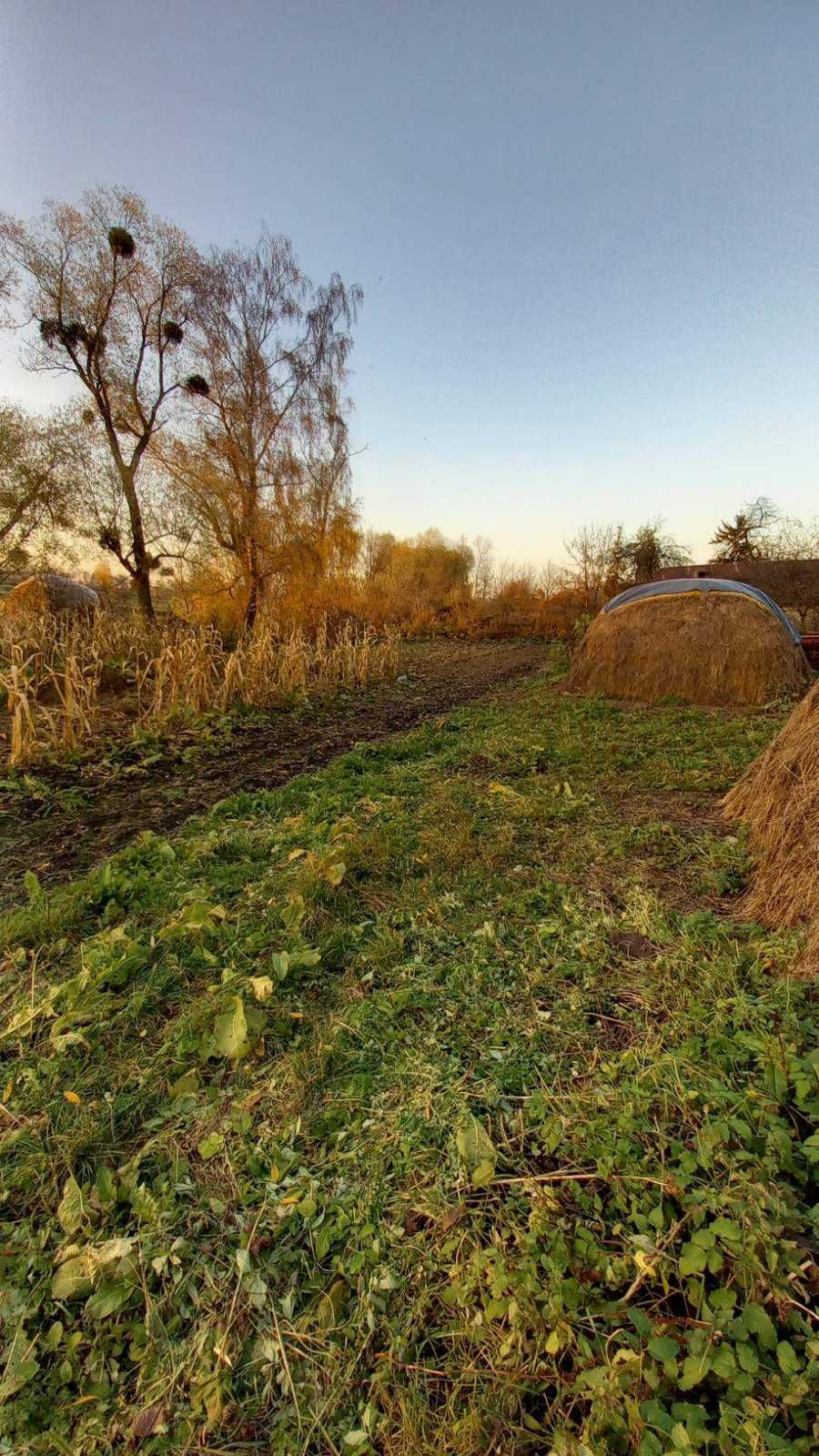 Земельна ділянка ОЖБ та дерев'яний будинок під знос с.Банюнин