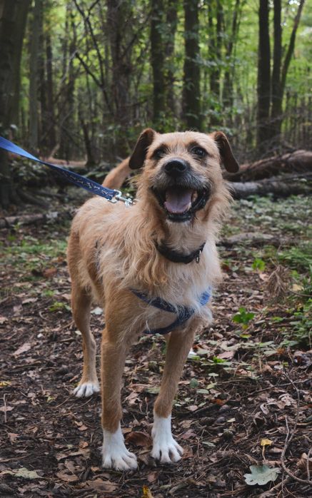 Borys tak długo czeka