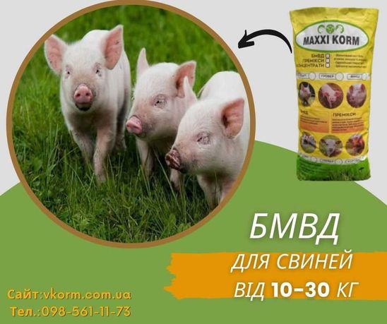 БМВД 25% для свиней Старт на соєвій основі