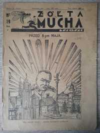 Żółta Mucha tse-tse 1933 nr 19