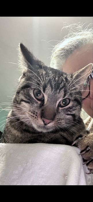 Pilne ! Oddam tylko w dobre rece