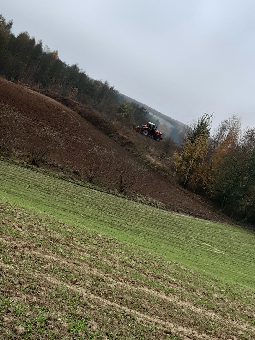 Mulczowanie terenu mulczer lesny czyszczenie dzialek wycinka drzew