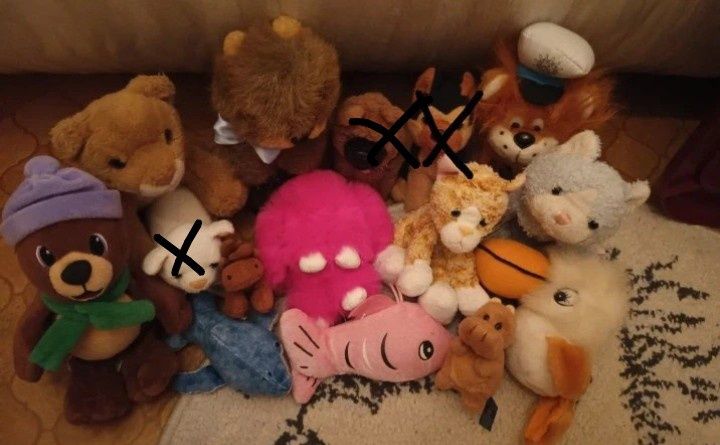 Dziś taniej!Zestaw pluszaków koty bóbr i inne