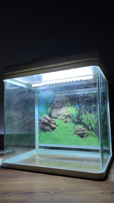 Akwarium z zaokrąglonymi narożnikami (zestwaw)