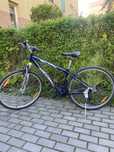 Riwer Merida Crossway 5300