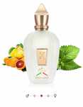 XJ 1861  Renaissance Xejroff 30ml