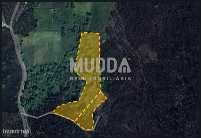 Terreno de cultura, mato e pinhal.