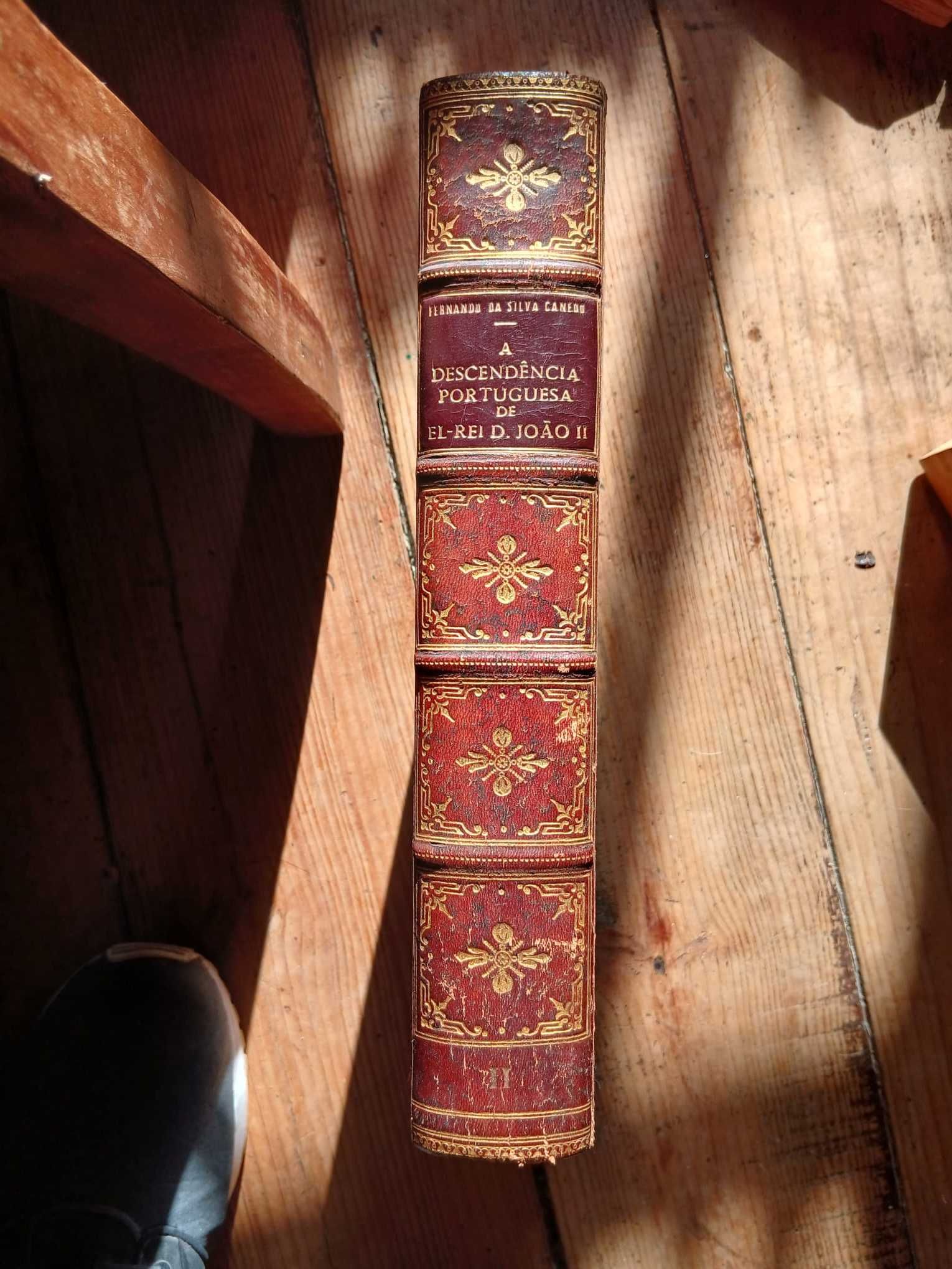 A Descendência Portuguesa De El-Rei D. João II, Vol. II 1945