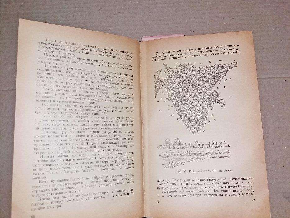 Пчеловодство 1952 г. Щербина П.С. Пасека, Бджільництво.