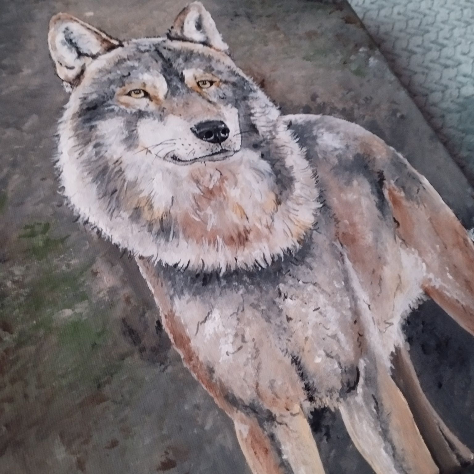 Wilk - obraz 40*30cm
