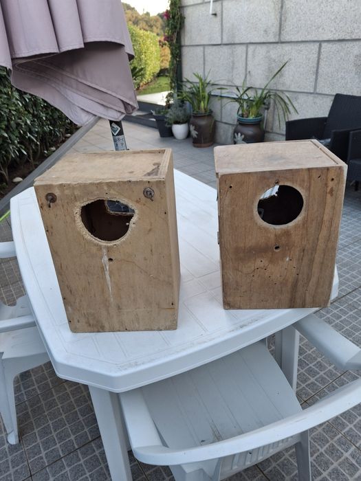 Aves de bico curvo