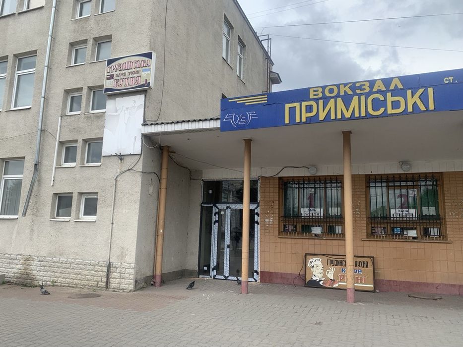 Приміщення вул. Н.Хасевича під Ваш бізнес, 250кв.м. 3.5 сот землі