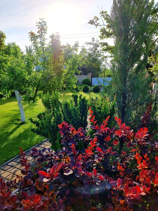 Продам дачу в живописном месте