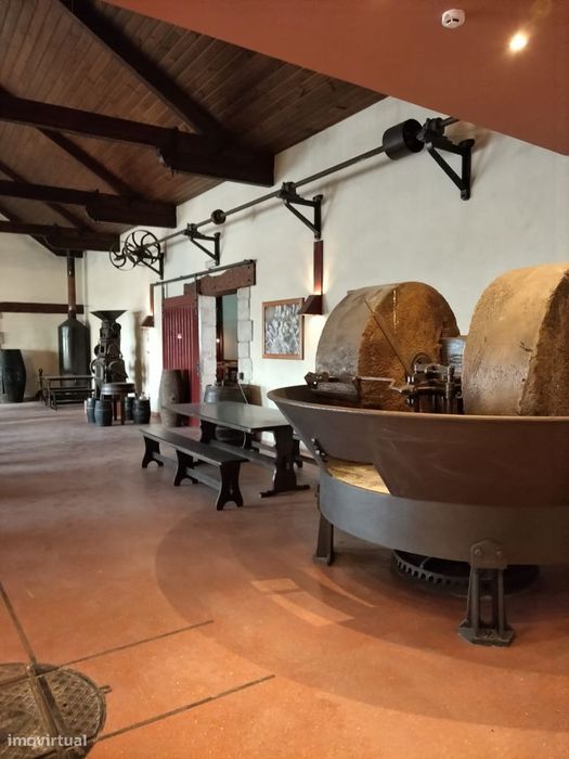 restaurante espectacular ( antigo lagar de azeite )