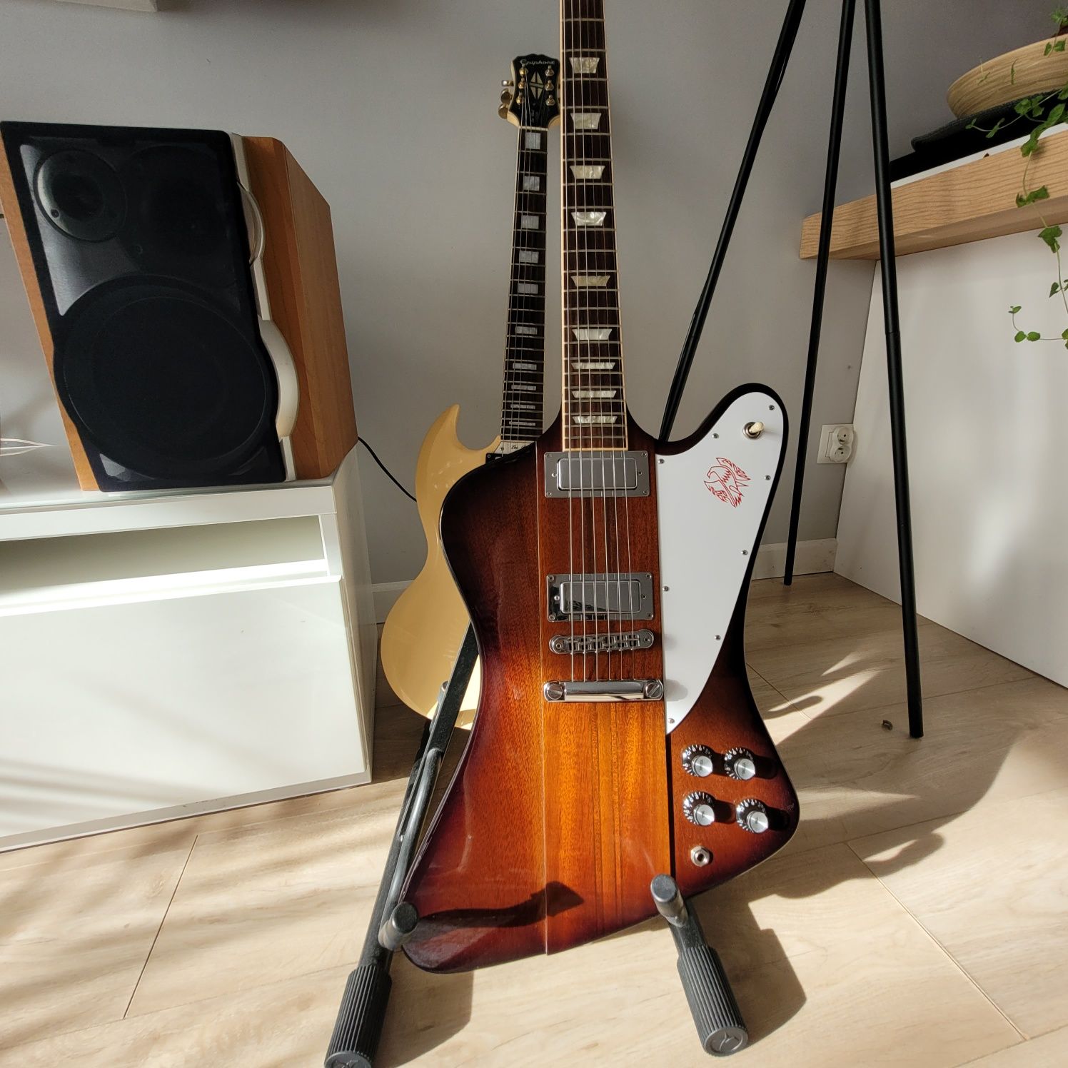 Gibson Firebird 2019