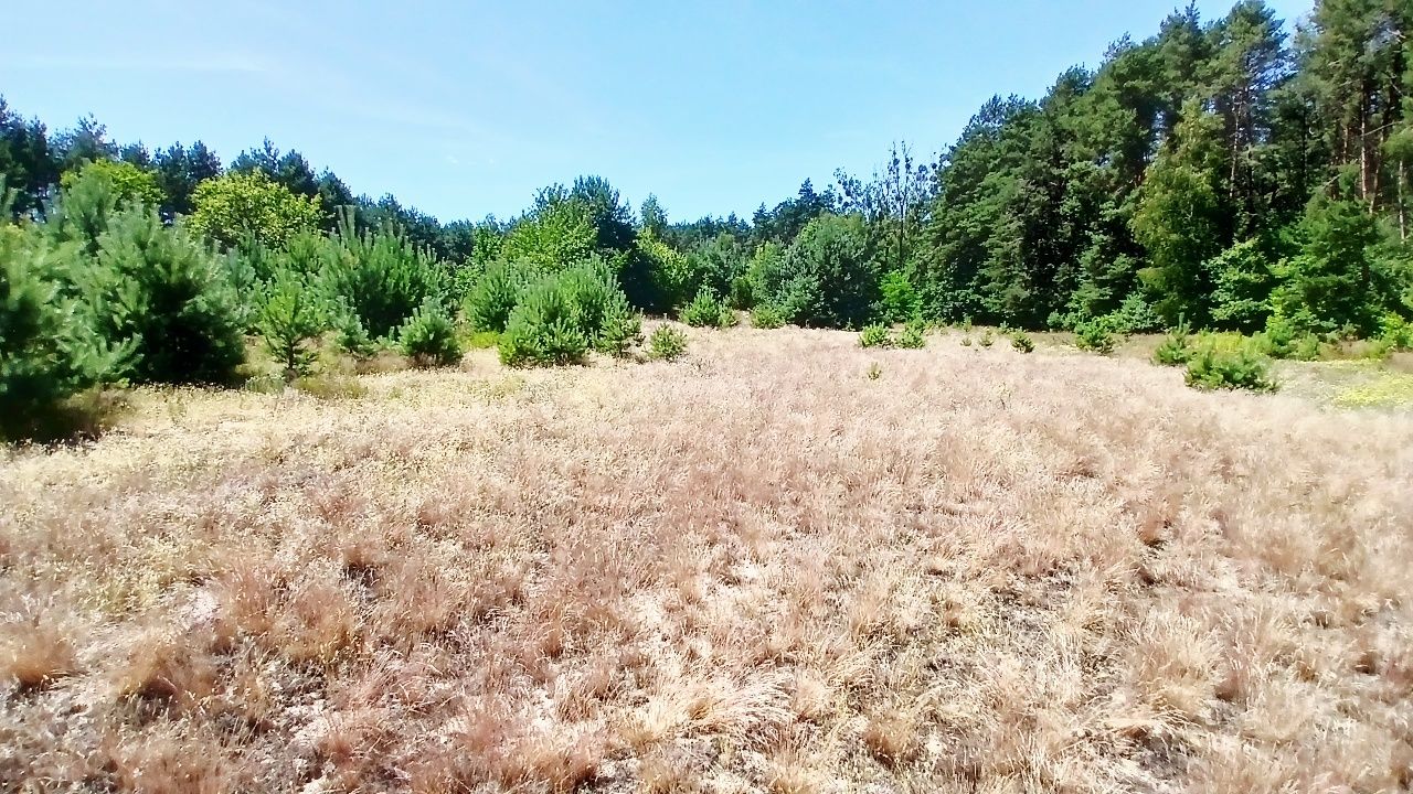 Sprzedam Działkę