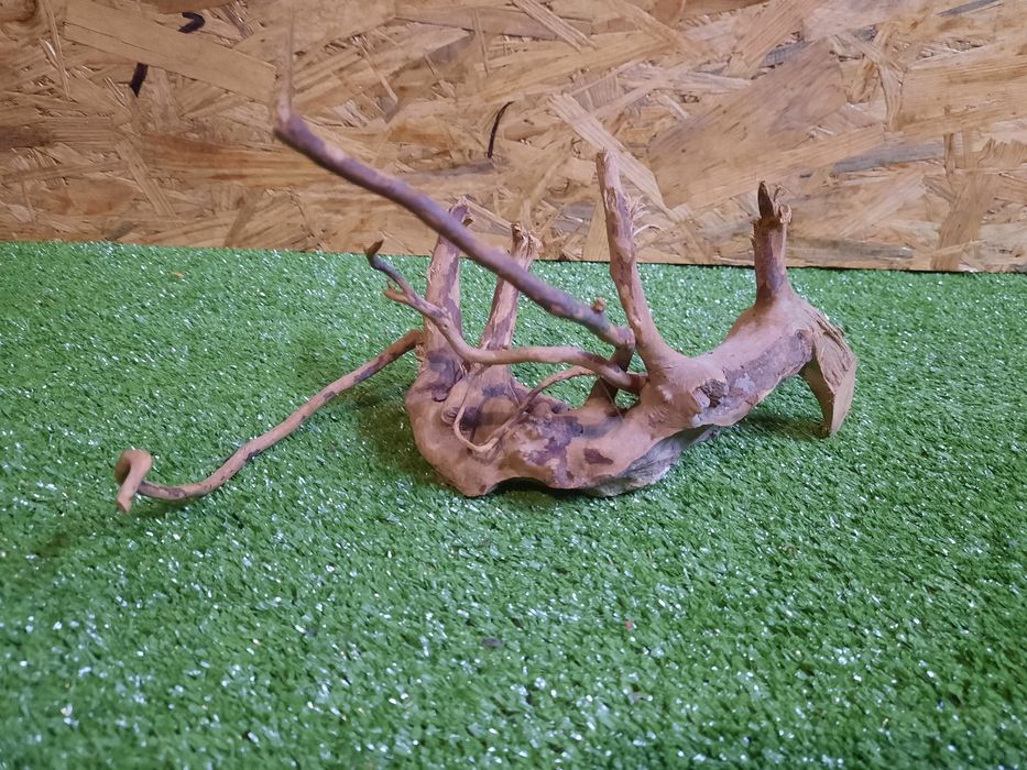 Korzeń do akwarium Red Moore Wood nr 1175 o wymiarach 24/20/18