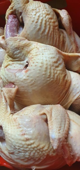 Kurczaki tuszki 2szt. ekologiczne o łącznej wadze 6.4kg bez pasz i ant