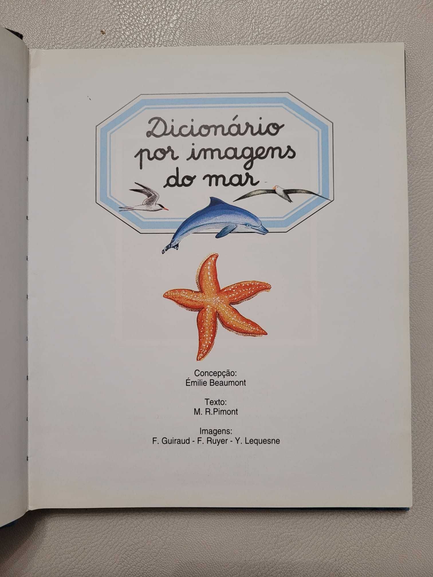 Dicionário por Imagens do Mar, Livro infantil didático