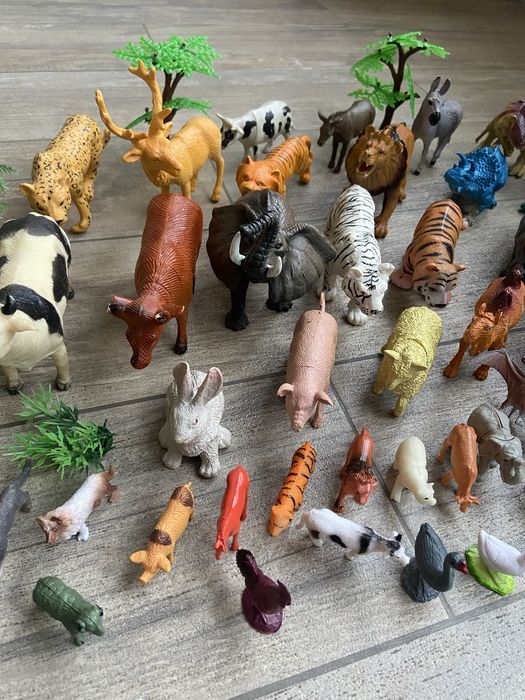 Тварини різного розміру