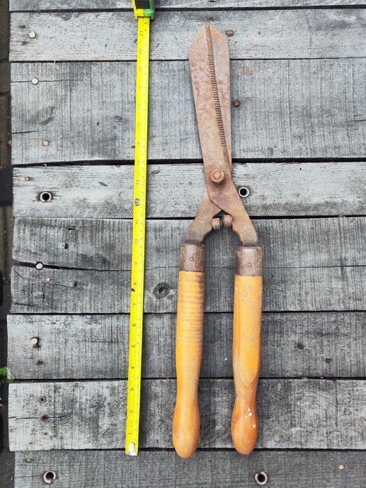 Nożyce do renowacji