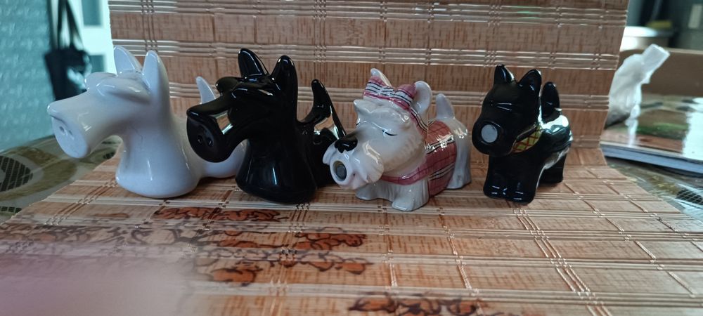 Соляниці шотландський скотч терьер