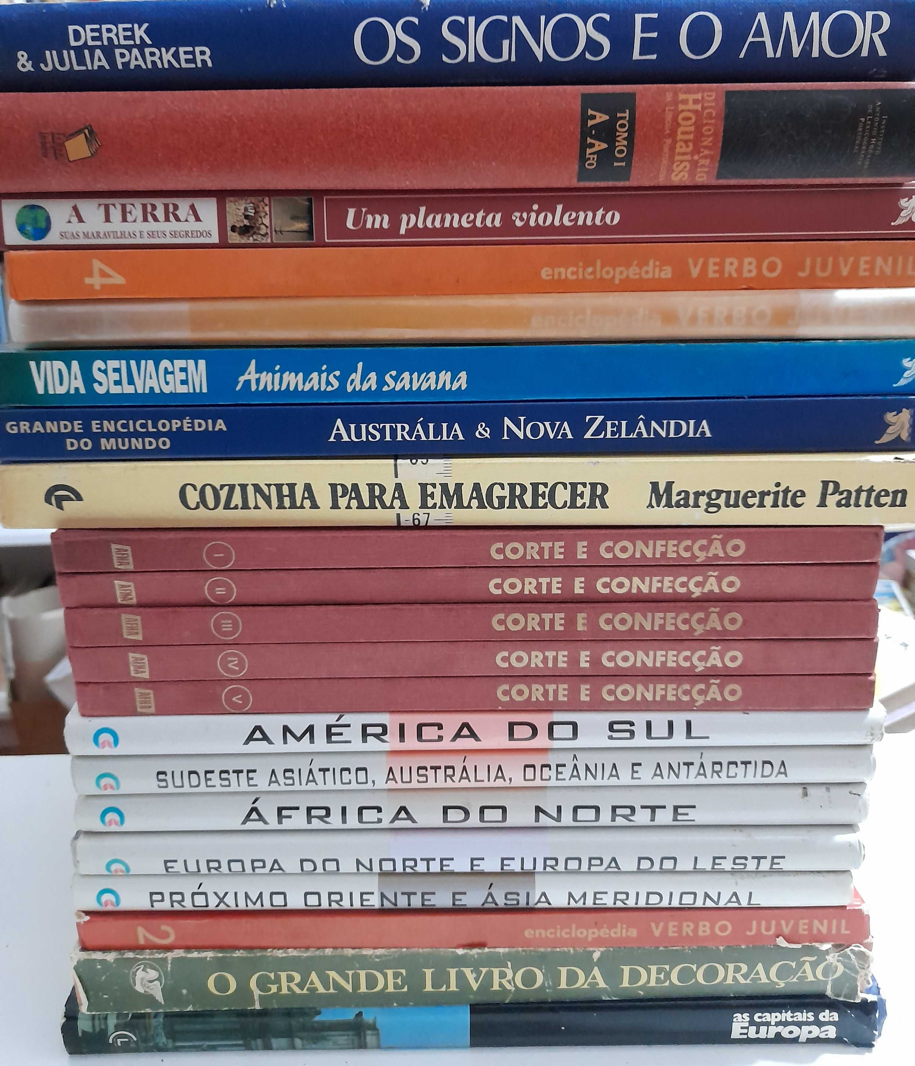 Lote de 530 livros (temas variados)