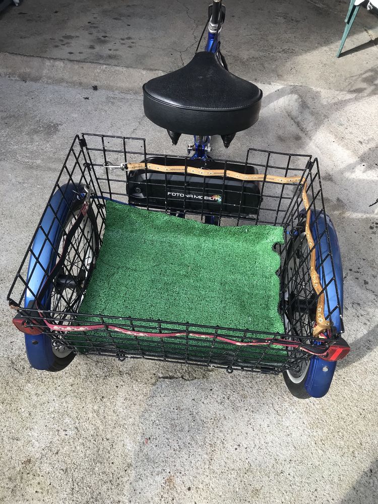 Triciclo Adulto eletrico em bom estado