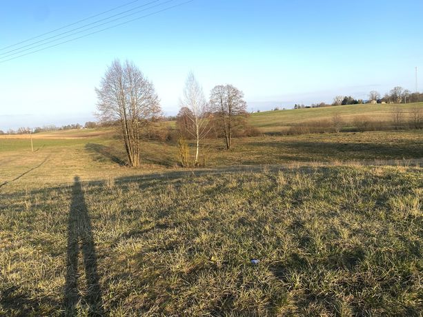 Działka do wydzielenia min. 3000m. - do negocjacji